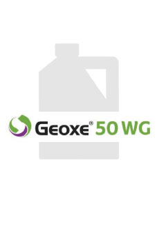 Geoxe 50WG | Adobs