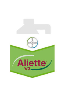 Aliette WG