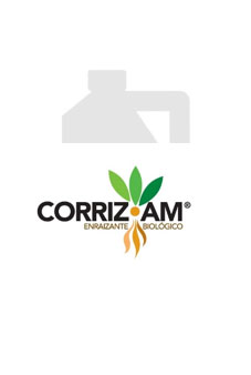 Corriz-am