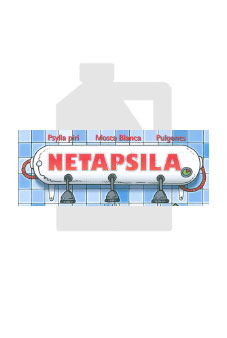 Netapsila